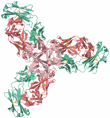 Image Biological Unit 1