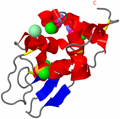 Image Asym./Biol. Unit