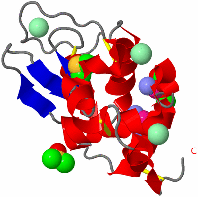 Image Asym./Biol. Unit