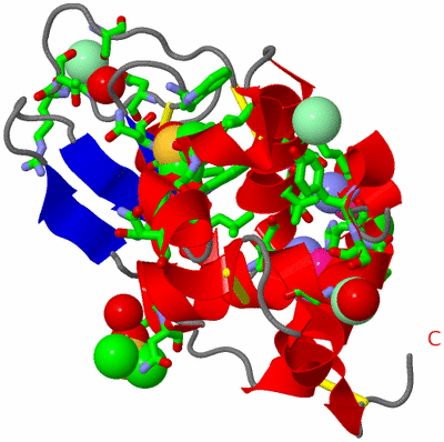 Image Asym./Biol. Unit - sites