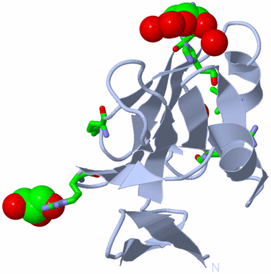 Image Biol. Unit 1 - sites