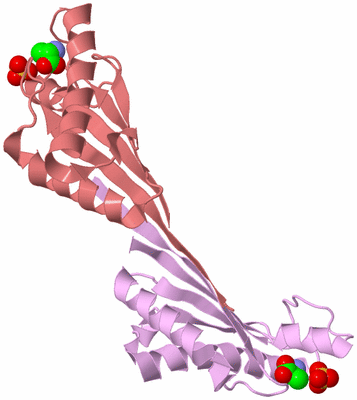 Image Biological Unit 3