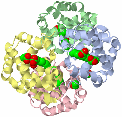 Image Asym./Biol. Unit