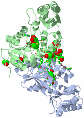 Image Biol. Unit 1 - sites