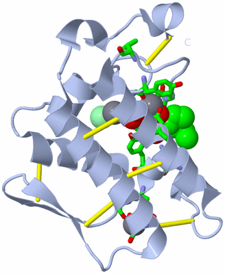 Image Biol. Unit 1 - sites