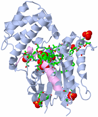 Image Biol. Unit 1 - sites