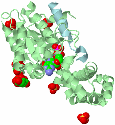 Image Biological Unit 2