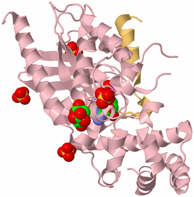 Image Biological Unit 3