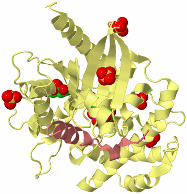 Image Biological Unit 4