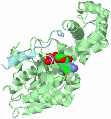 Image Biological Unit 2