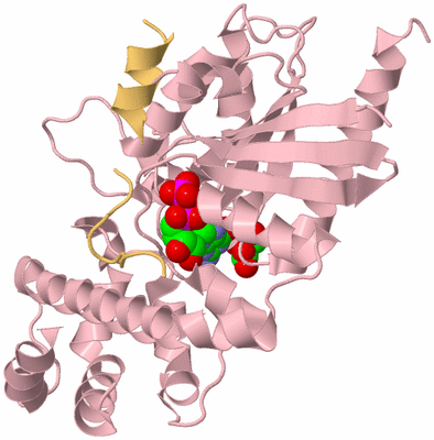 Image Biological Unit 3