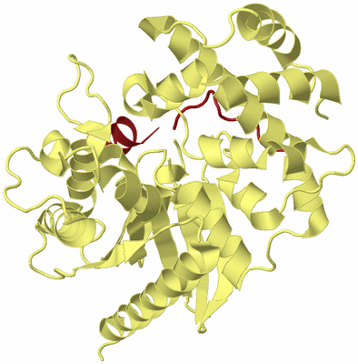 Image Biological Unit 4