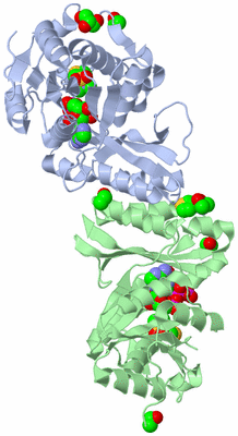 Image Biological Unit 2