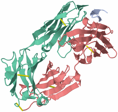 Image Biological Unit 2