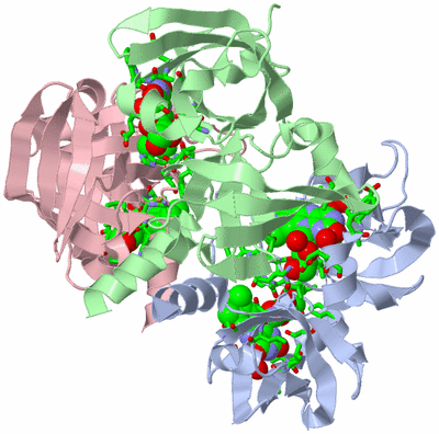 Image Asym./Biol. Unit - sites