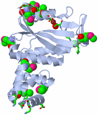 Image Biol. Unit 1 - sites