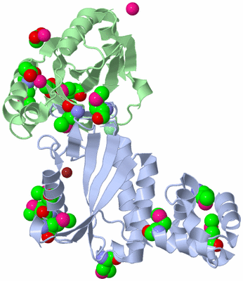 Image Biological Unit 3