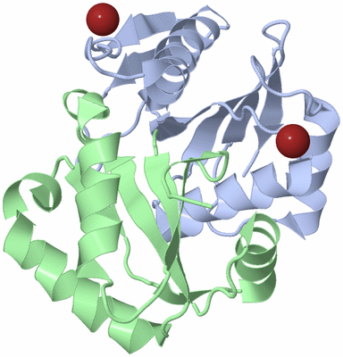 Image Biological Unit 1