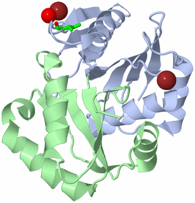 Image Biol. Unit 1 - sites