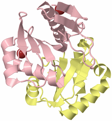 Image Biological Unit 2