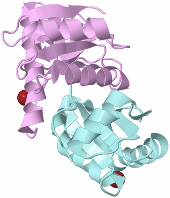 Image Biological Unit 3