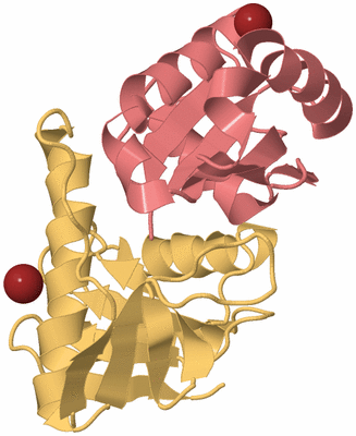 Image Biological Unit 4