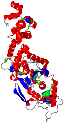 Image Asym./Biol. Unit - sites