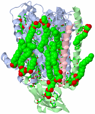 Image Asym./Biol. Unit - sites