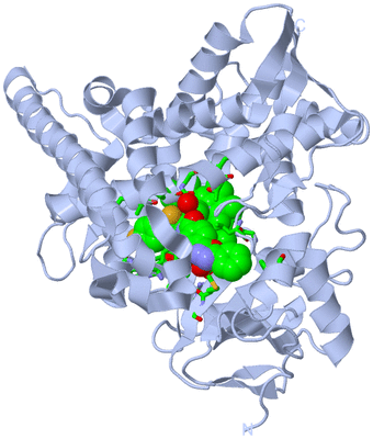 Image Biol. Unit 1 - sites