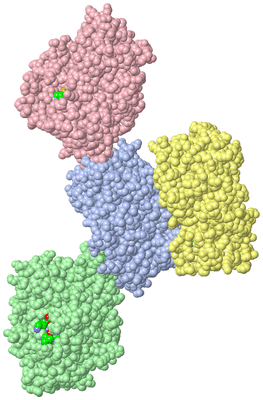 Image Asym. Unit - sites