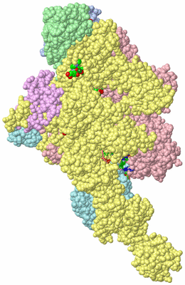 Image Biol. Unit 1 - sites