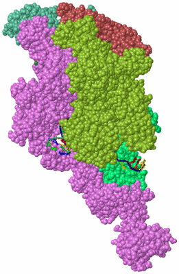 Image Biological Unit 2