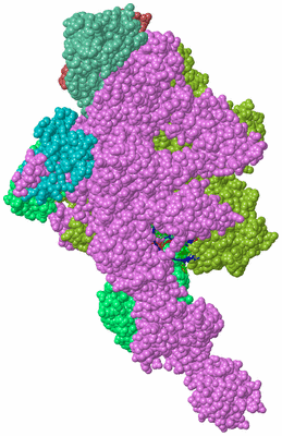 Image Biological Unit 2