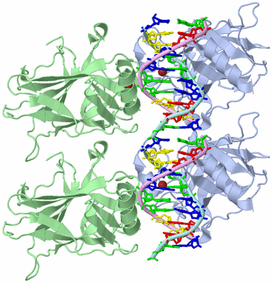 Image Biological Unit 1