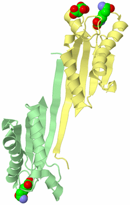 Image Biological Unit 2