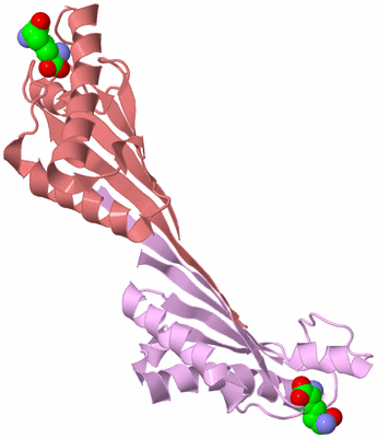 Image Biological Unit 3