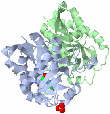 Image Asym./Biol. Unit