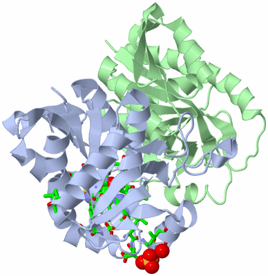 Image Asym./Biol. Unit - sites