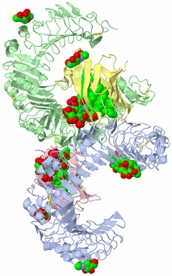 Image Asym./Biol. Unit