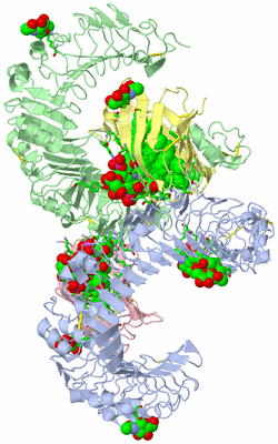 Image Asym./Biol. Unit - sites