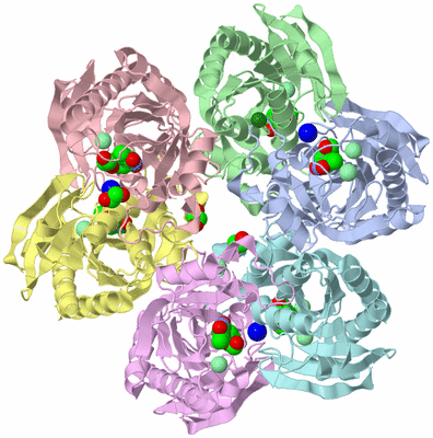 Image Asym./Biol. Unit