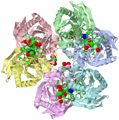 Image Asym./Biol. Unit - sites