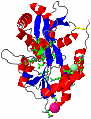 Image Asym. Unit - sites