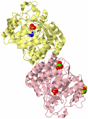 Image Biological Unit 2