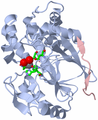 Image Biol. Unit 1 - sites