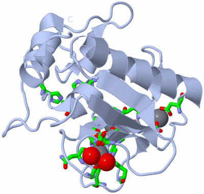 Image Biol. Unit 1 - sites