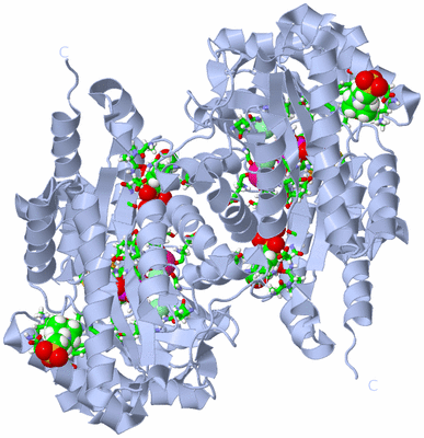 Image Biol. Unit 1 - sites