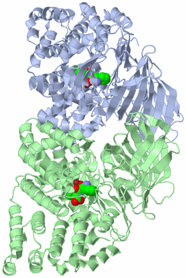 Image Asym./Biol. Unit