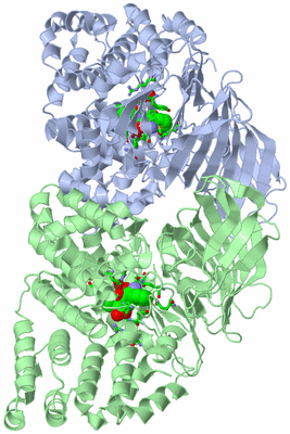 Image Asym./Biol. Unit - sites