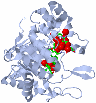 Image Biol. Unit 1 - sites